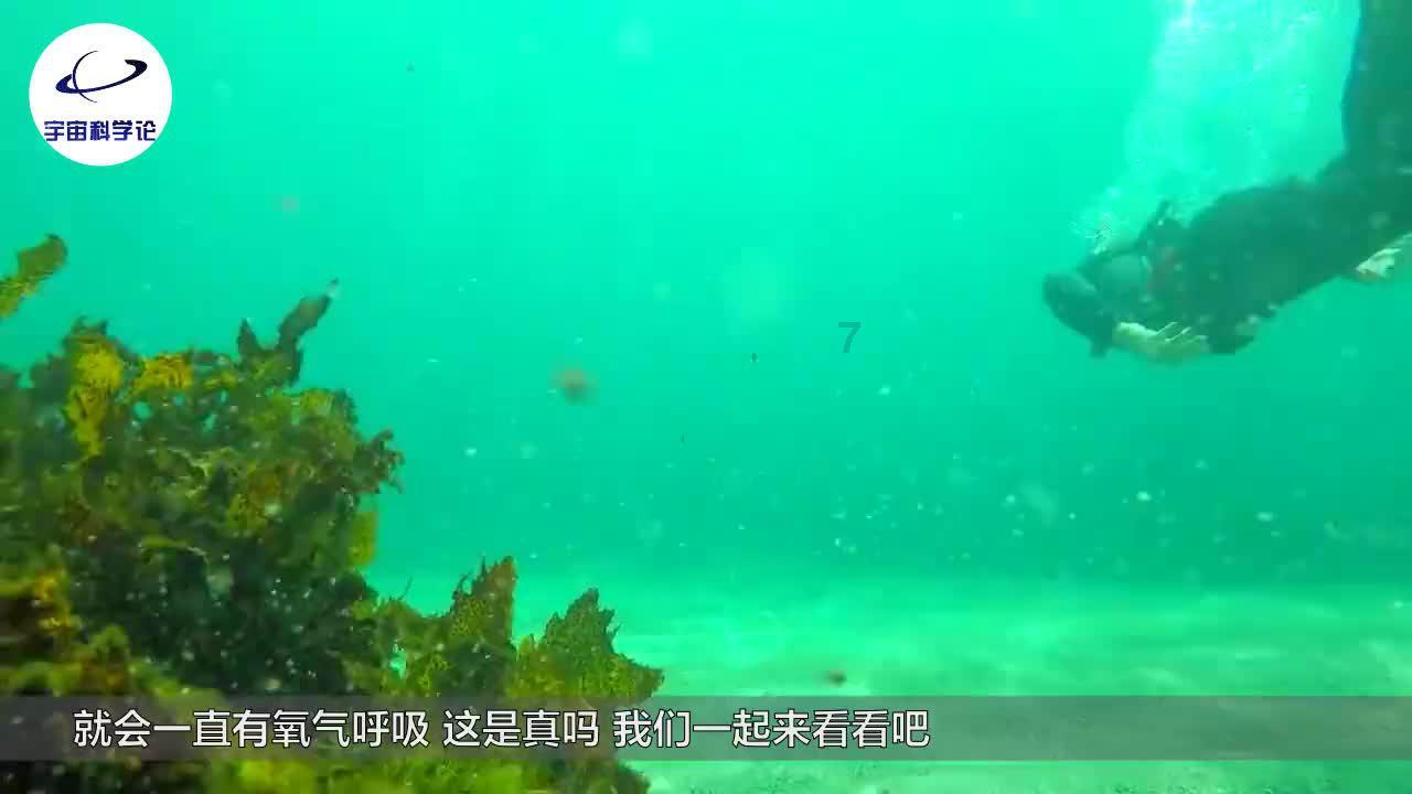 冒险岛2